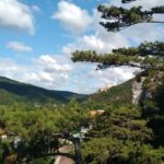 2-Hour Private Hiking Tour Helenental Castles Hike from Vienna - Authentic Insights from Past Travelers
