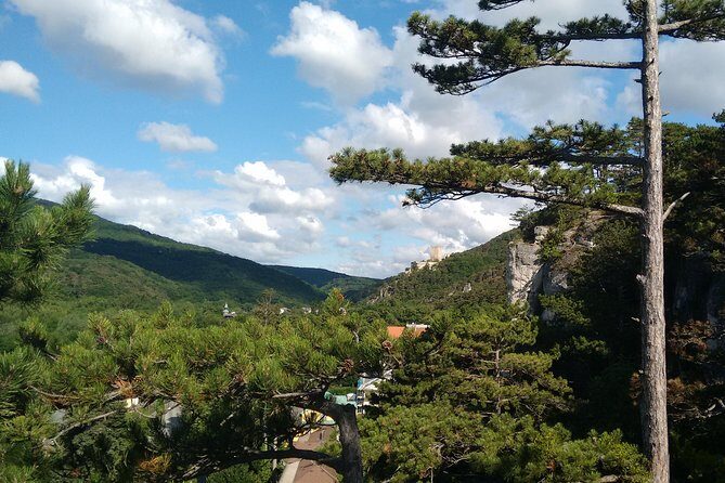 2-Hour Private Hiking Tour Helenental Castles Hike from Vienna - Authentic Insights from Past Travelers