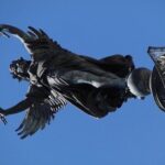 2 hours - Bordeaux Private tour with a native guide - Practical Details and Why They Matter