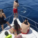 2 Hours Dolphin Watching in Marbella - Pricing and Value