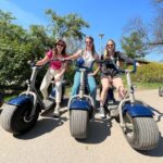 2 Hours Hamburg E-scooter Tour - Itinerary Highlights: The Landmarks You’ll See
