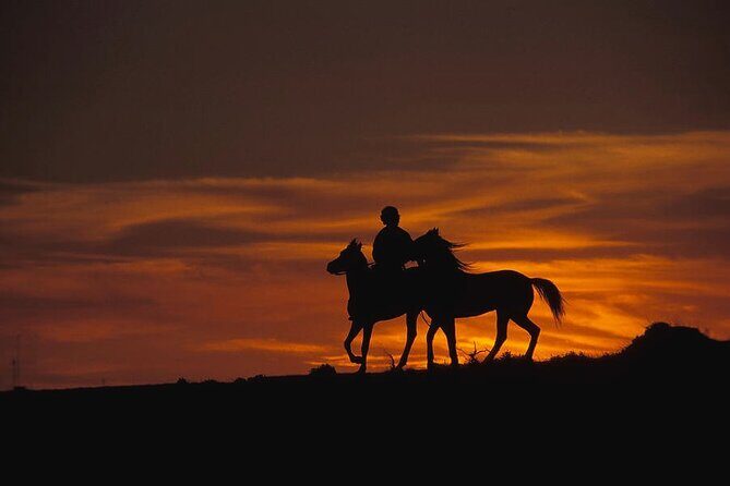 2 Hours Horse Riding Safari in Cappadocia ( Transfer Include ) - Practical Considerations