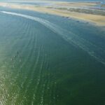 2 Hours Kayak Island Tour in the Natural Park of Ria Formosa - What We Learned from the Reviews