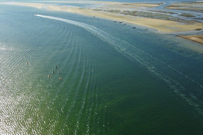 2 Hours Kayak Island Tour in the Natural Park of Ria Formosa - What We Learned from the Reviews