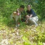 2 hours Private Activity - Truffle hunting in Assisi - Who Will Love This Tour?