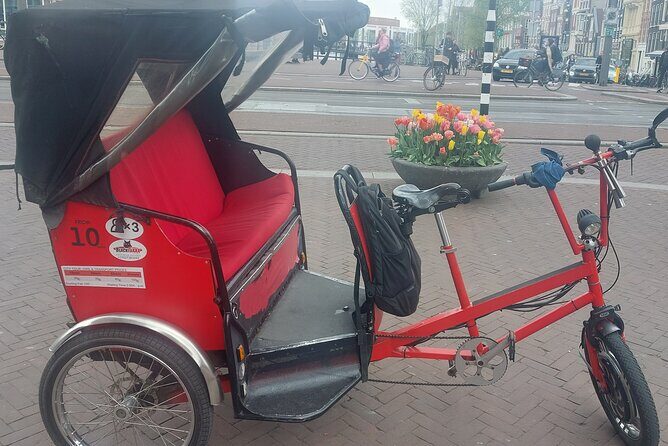 2 Hours Private Amsterdam Rickshaw Tour - What To Expect From The Experience