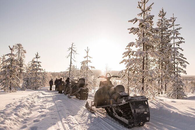 2 Hours Snowmobile Safari to the Levi Nature - Who Would Love This Tour?