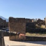 2 Hours Walking Tour in Pompeii with an Archaeologist - Practical Tips for Making the Most of Your Tour