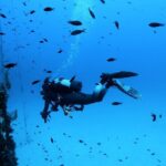 2 Scuba Fun Dives for Certified divers in St Paul's Bay - What’s Included and What to Expect