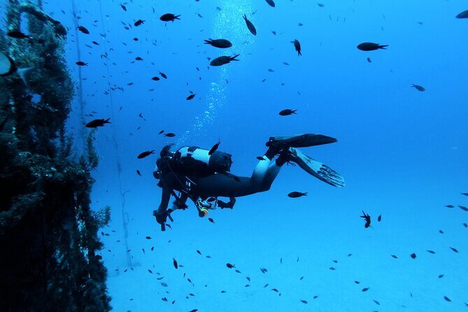 2 Scuba Fun Dives for Certified divers in St Paul's Bay - What’s Included and What to Expect