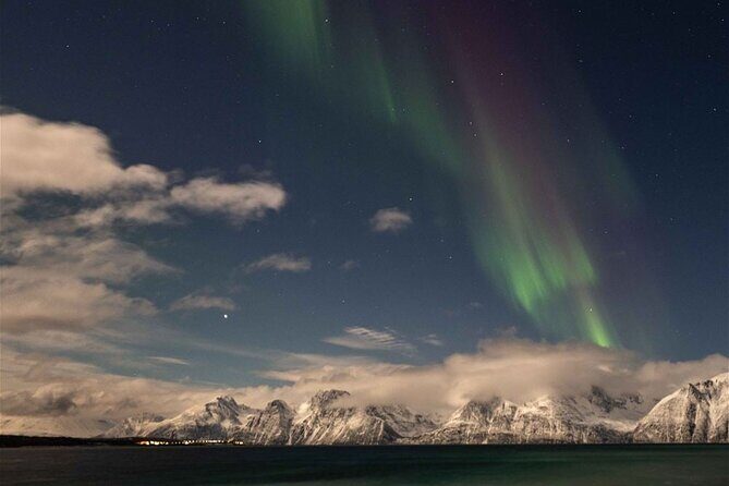 24hr Northern Lights & Whale Watching Cruise - Who Should Consider This Tour?
