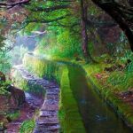 "25 Fountains" Walk / Lost In The Beautiful Forest - Who Should Book This Tour?