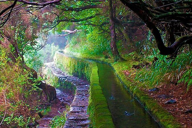 "25 Fountains" Walk / Lost In The Beautiful Forest - Who Should Book This Tour?