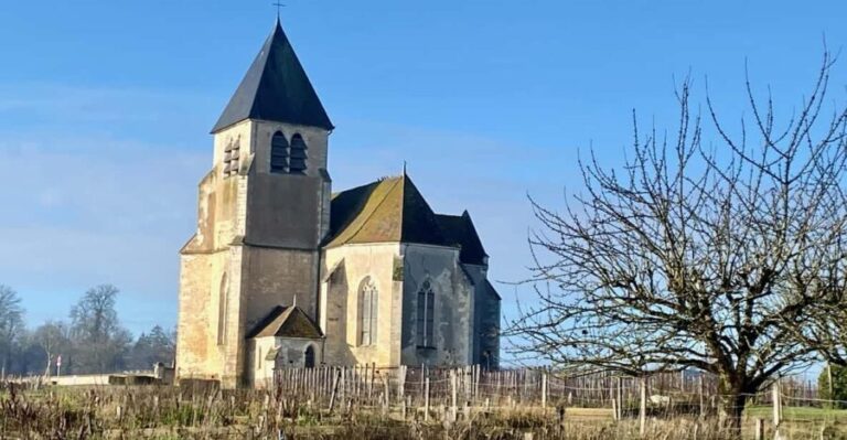 3-Day Castles, Champagne & Chablis Wine tasting Private Tour - Who Is This Tour Best Suited For?