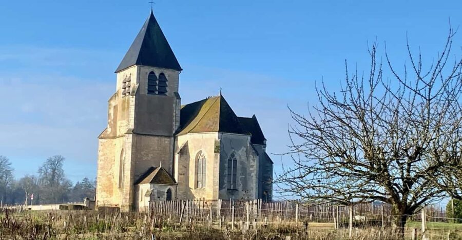 3-Day Castles, Champagne & Chablis Wine tasting Private Tour - Who Is This Tour Best Suited For?