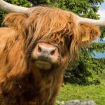 3 Day - Isle of Skye, Loch Ness & Glenfinnan Tour from Edinburgh - What Do Travelers Say?