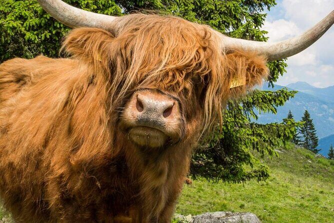 3 Day - Isle of Skye, Loch Ness & Glenfinnan Tour from Edinburgh - What Do Travelers Say?