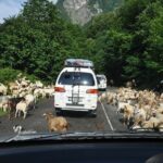 3-Day Svaneti Hiking Tour - Day 3: Cultural Heritage and Return to Batumi