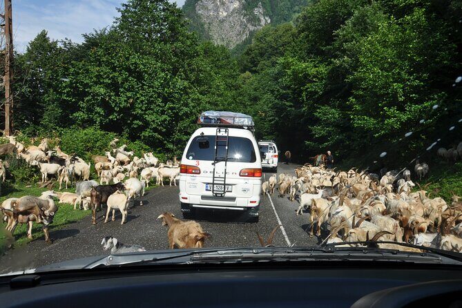 3-Day Svaneti Hiking Tour - Day 3: Cultural Heritage and Return to Batumi