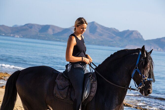 3-Hour Beach Horse Riding to Discover the Beauty of Alcudia Bay - The Value Proposition