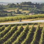3-Hour Bike Tour and Wine in Tuscany: Nobile's Path - Frequently Asked Questions