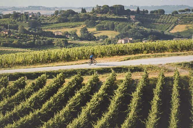 3-Hour Bike Tour and Wine in Tuscany: Nobile's Path - Frequently Asked Questions