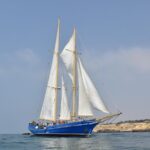 3 Hour Cruise Experience from Vilamoura - The Itinerary and What to Expect