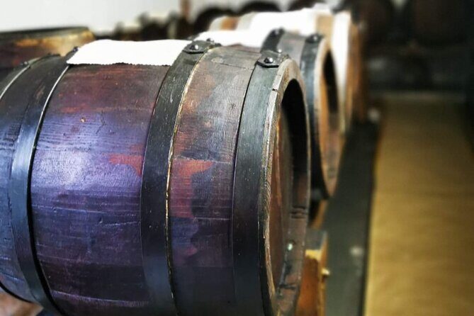 3 Hour E-bike Tour with Parmesan and Balsamic Vinegar - Final Thoughts: Who Should Book This Experience?