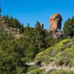 3-Hour Hiking Experience in Roque Nublo - The Sum Up: Is This Tour Right for You?