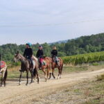 3 Hour Horse Ride to a Castle for Wine Tasting and snack Lunch - Final Thoughts: Who Will Love This Experience?
