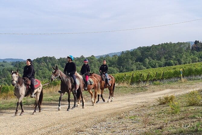 3 Hour Horse Ride to a Castle for Wine Tasting and snack Lunch - Final Thoughts: Who Will Love This Experience?