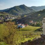 3-Hour Private Hiking Tour to historic places around Spitz in Wachau Valley - The Itinerary in Detail