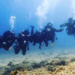 3 Hour Private Scuba Diving Experience - The Equipment and Safety Aspects