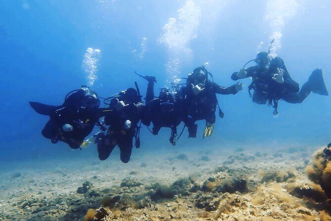 3 Hour Private Scuba Diving Experience - The Equipment and Safety Aspects