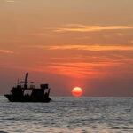 3-Hour Private Sunset Snorkel Boat for Large Groups - Why This Tour Is Worth Considering