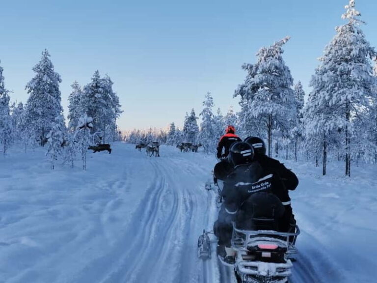 3-hour snowmobiling adventure in Levi - Practical Details and Tips for Your Snowmobiling Trip
