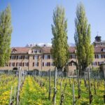 3 Hour Unique Wine Tour - Half Day in Swiss Alps - Exploring the Swiss Wine Experience