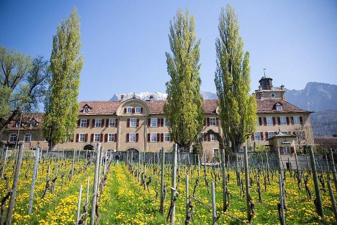 3 Hour Unique Wine Tour - Half Day in Swiss Alps - Exploring the Swiss Wine Experience