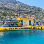 3 Hour Yellow Semi Submarine Swimming Cruise with Drinks Included! - The Experience in Detail