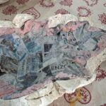 3 Hours Art Creation: Papier-mâché in the Studio in Pietrasanta - Practical Details and Tips