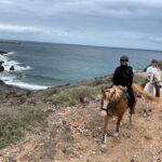 3 hours Horse Riding Tour to the Coast - Who Will Love This Tour?
