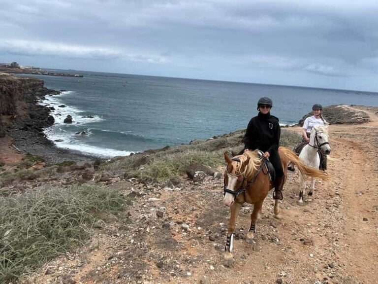 3 hours Horse Riding Tour to the Coast - Who Will Love This Tour?