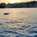 3 Hours Private Boat Tour of the Island of Ortigia with Aperitif - Value and Practical Considerations
