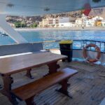 3 hrs Boat Excursion for whale watching from Valle GR (La Gomera) - Who Will Love This Tour?