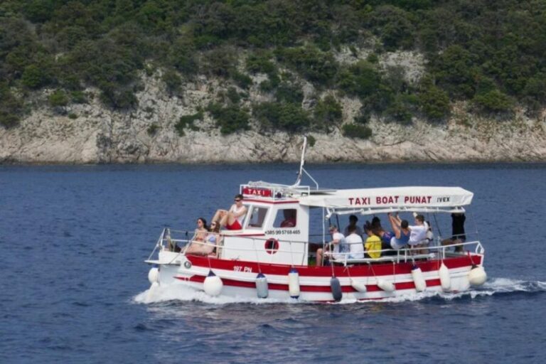 3,5h Wild Bays: Swim & Snorkel with Capt. Bobo (Public) - Who Should Book This Tour?