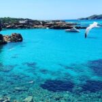 3h Private Cruise + Drinks, Snorkel & Paddle - Practical Considerations