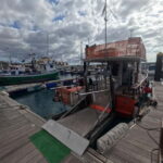 3H Shared Barrier-Free Cruise with Turtles Dolphins & Whales - Why The Experience Works