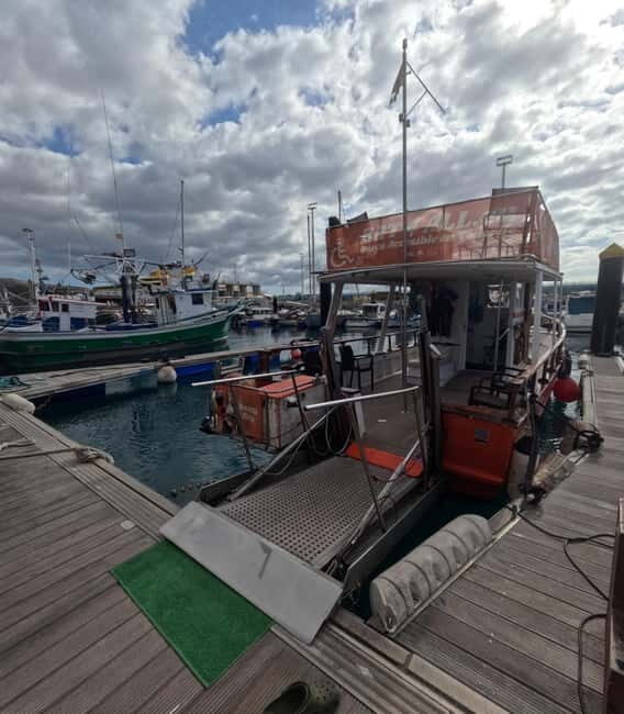 3H Shared Barrier-Free Cruise with Turtles Dolphins & Whales - Why The Experience Works