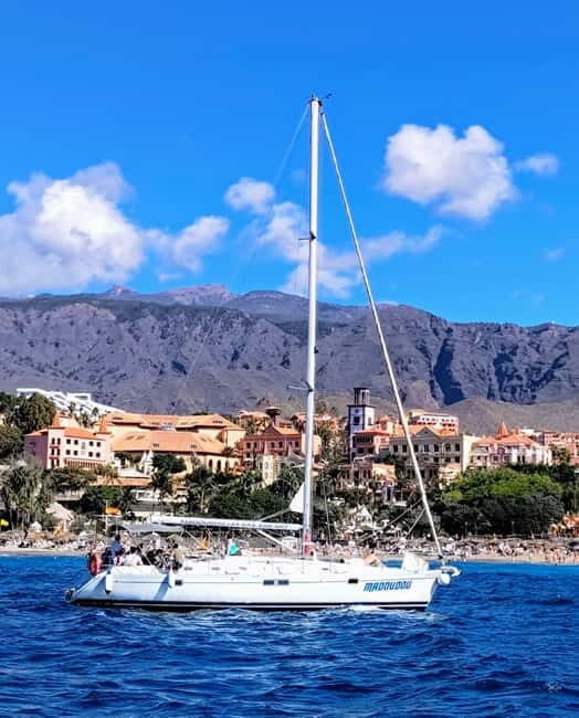 3h Whale Watching Share Tour Beneteau Oceanis 440 - FAQs About the Whale Watching Tour