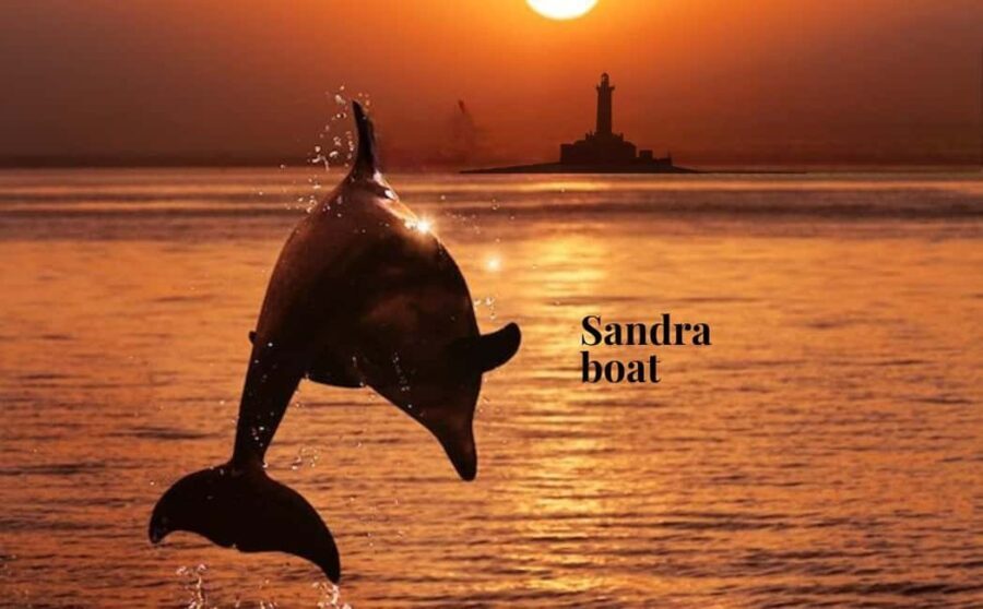 3hours Dolphin Sunset watching with unlimited drinks +dinner - Authentic Experiences and Practical Tips